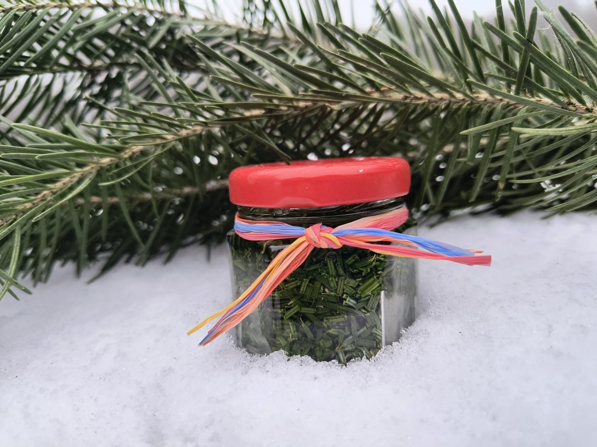 macerát z douglasky vyzkoušela naše Evča Š.